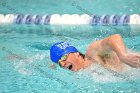 Swimming & Diving vs Babson  Swimming & Diving vs Babson College. - Photo by Keith Nordstrom : Wheaton, Swimming